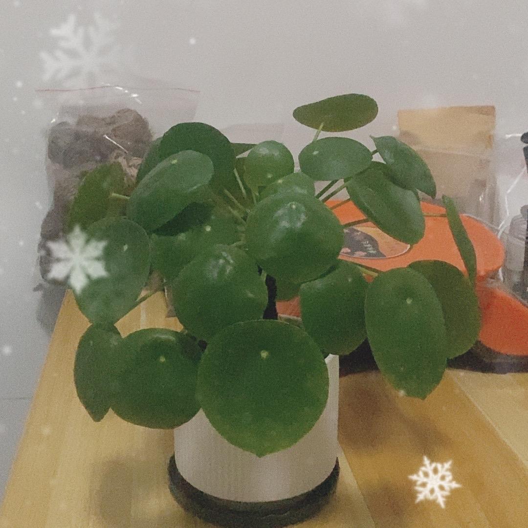 随便卖卖4