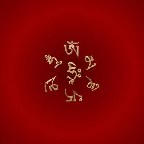 人生在悟