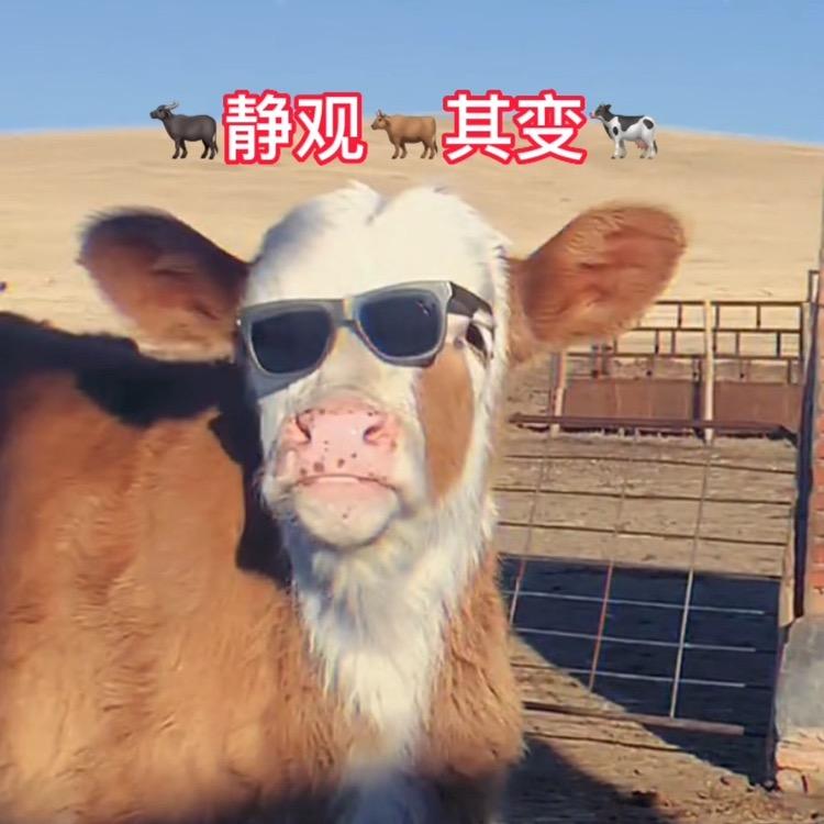 🐃笑看🐂人生🐄