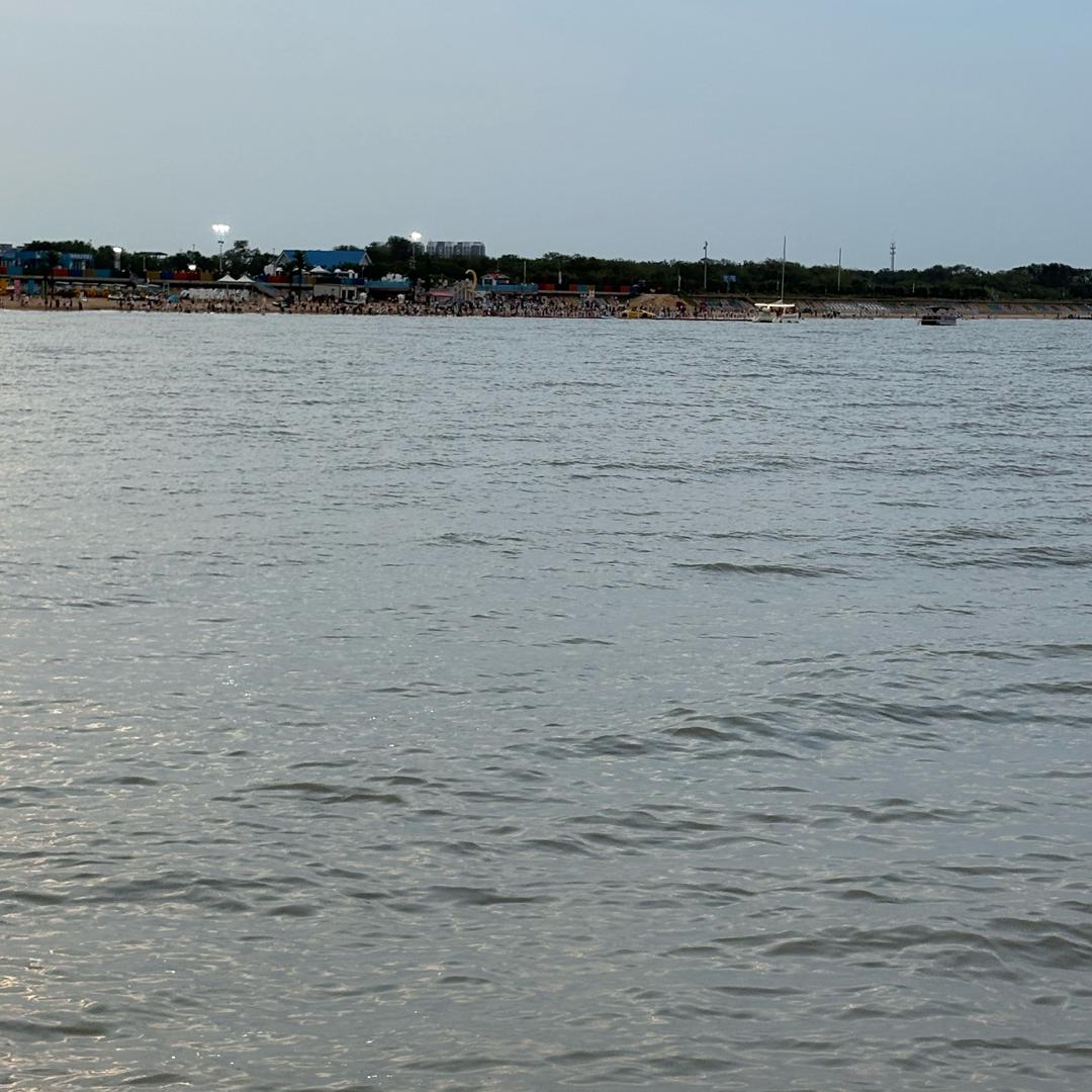 蝶恋花🍋‍🟩