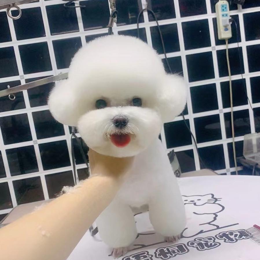 阿远