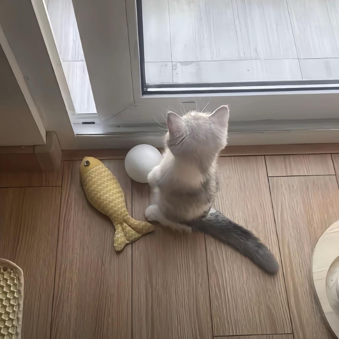 uipiiiii