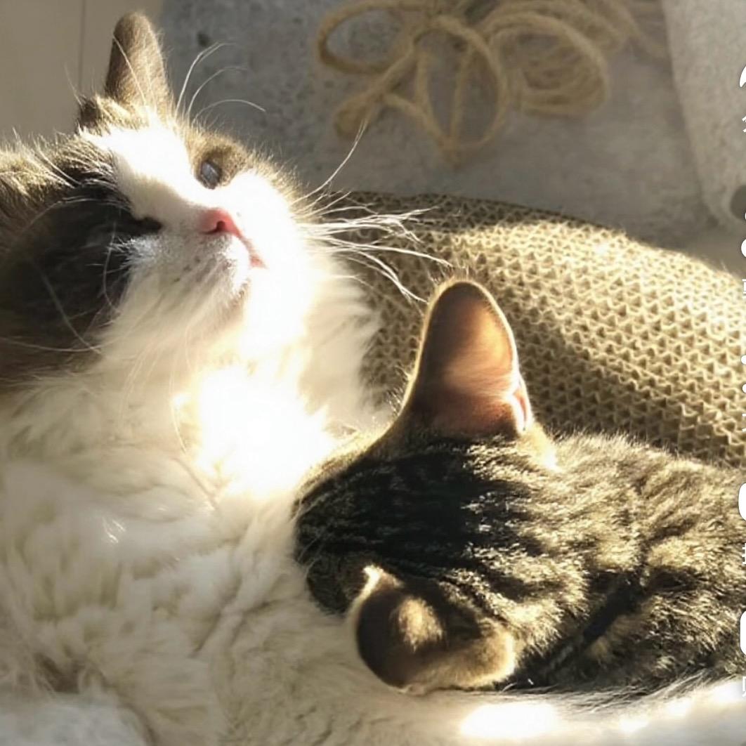 重生之我在拼豆豆