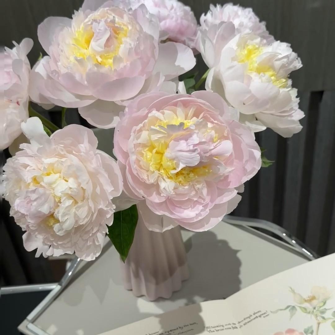 雨嫣花卉