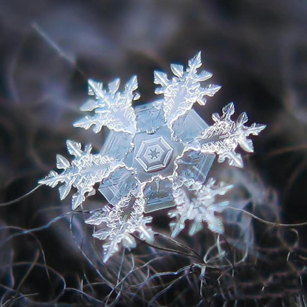 雪见❄️