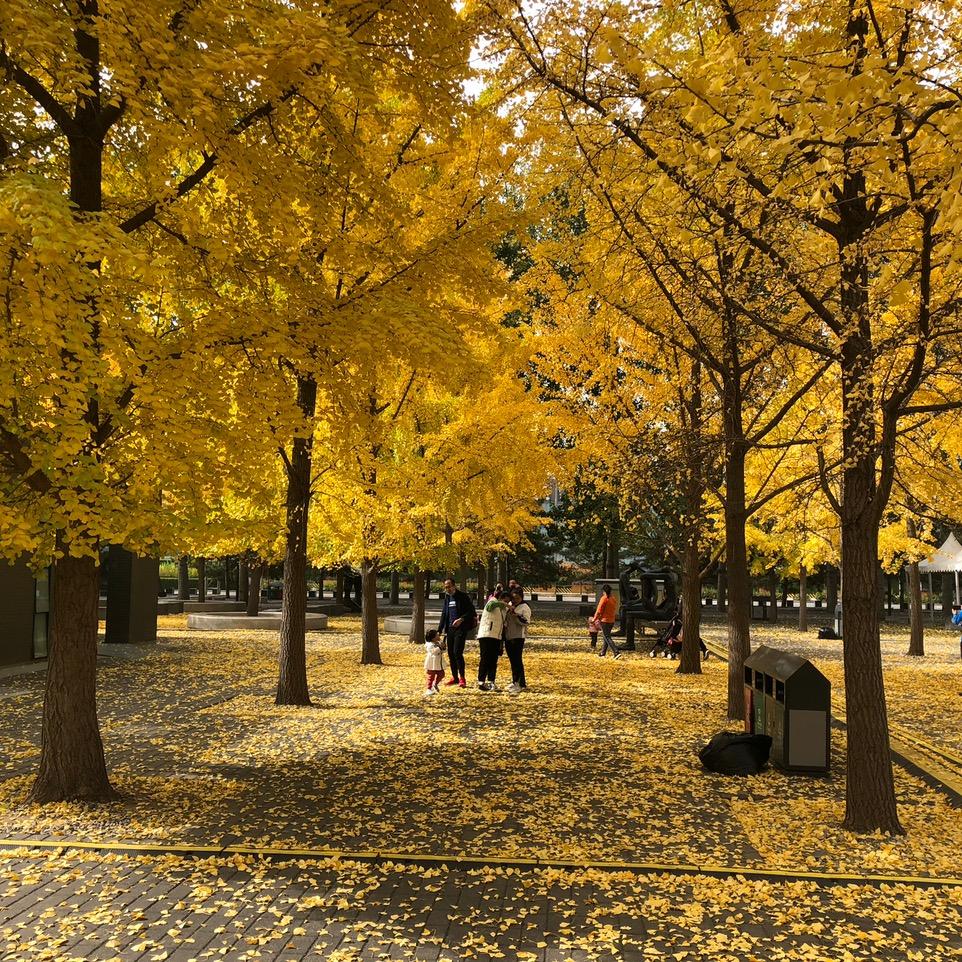 有好有坏。。。