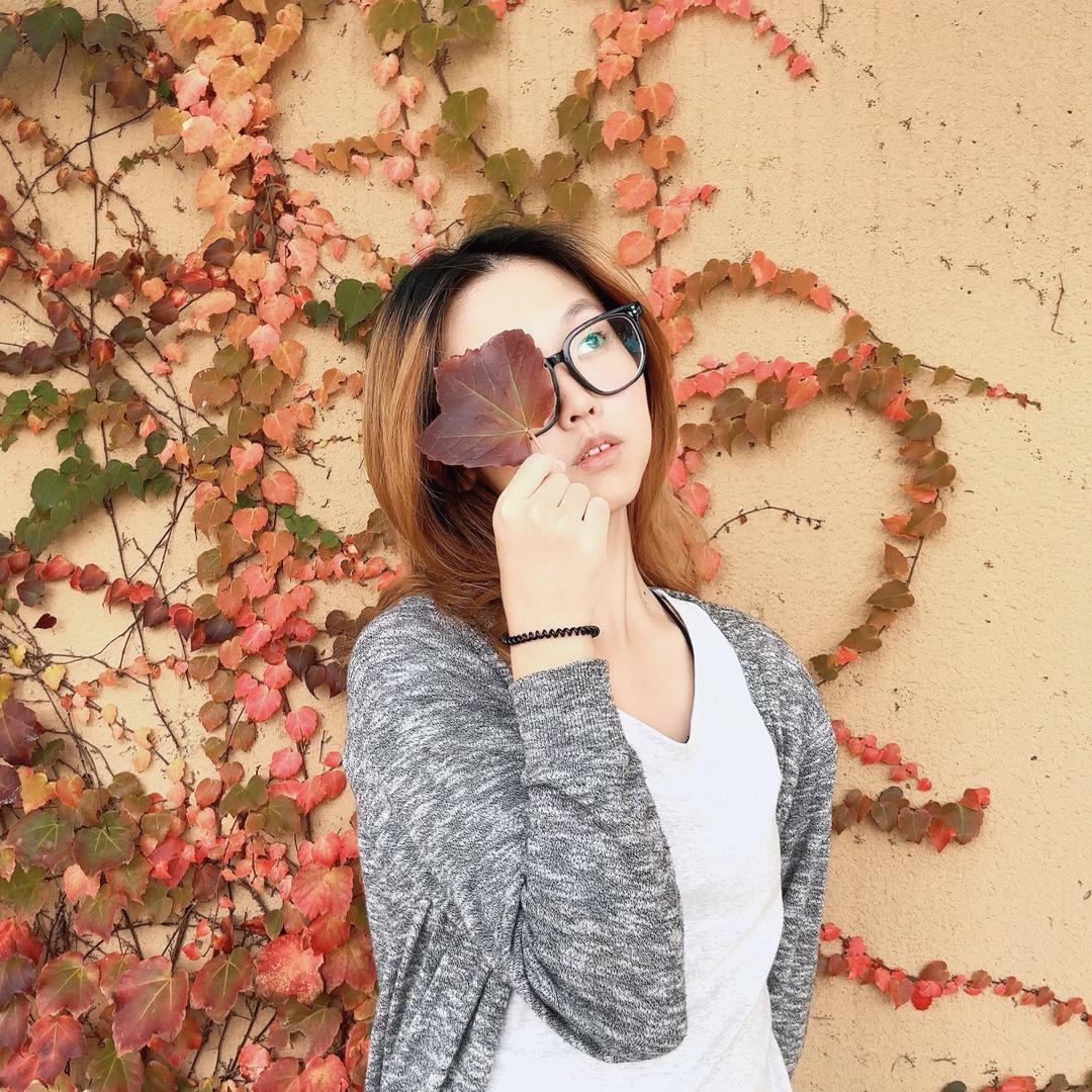 我的名字是笨蛋先锋