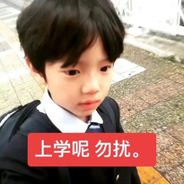 我被这个金主训了。