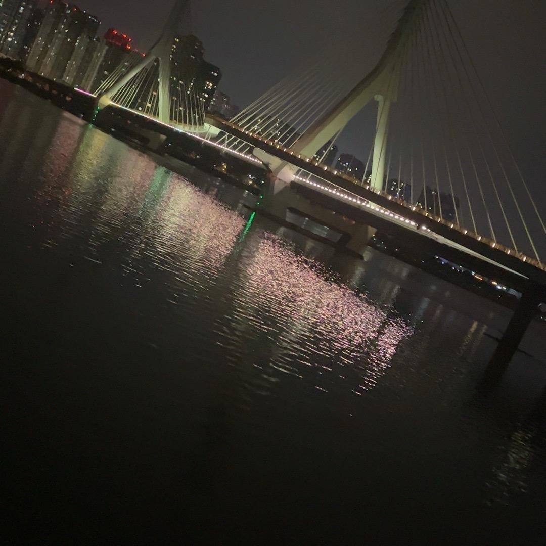 羊哥
