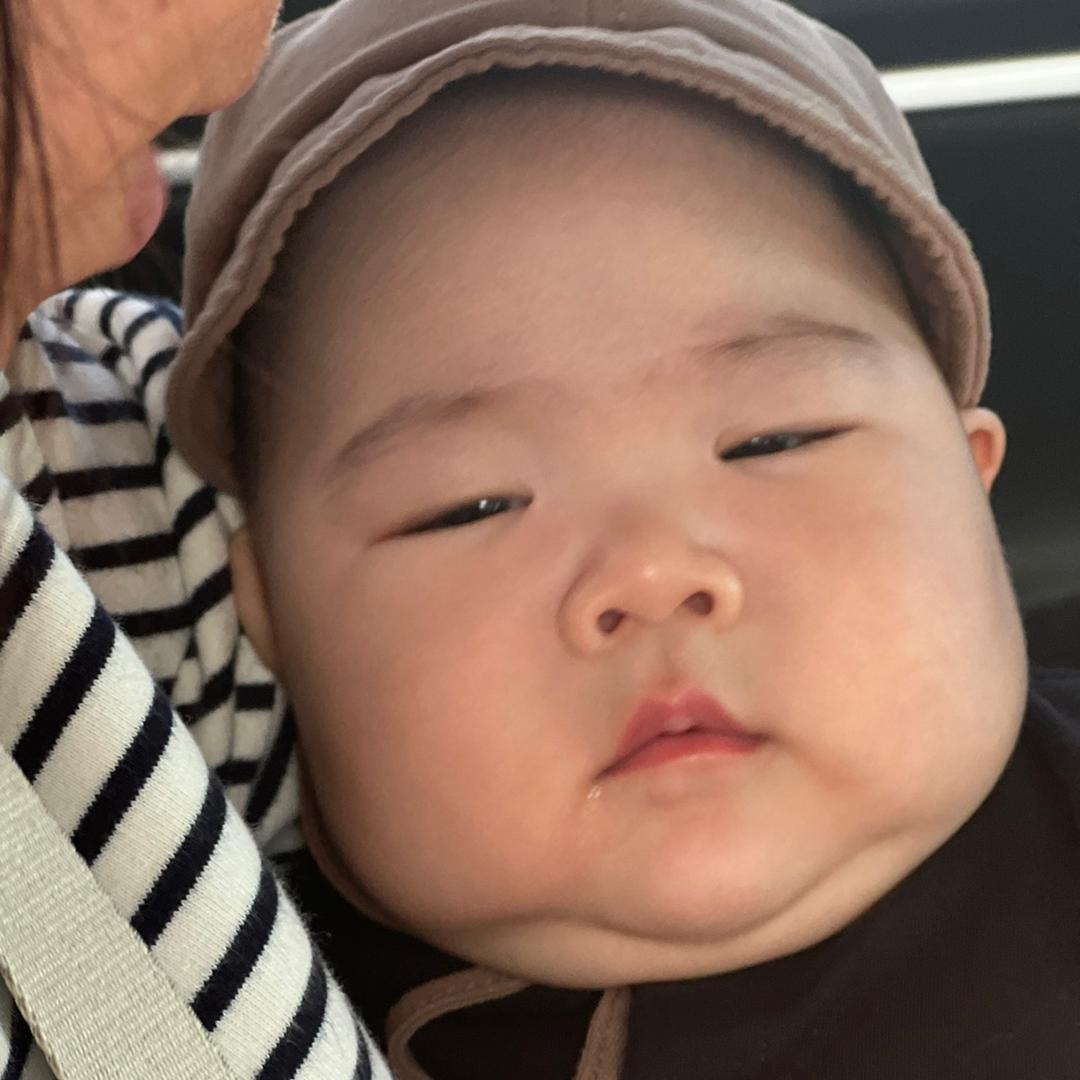 赫本本赫
