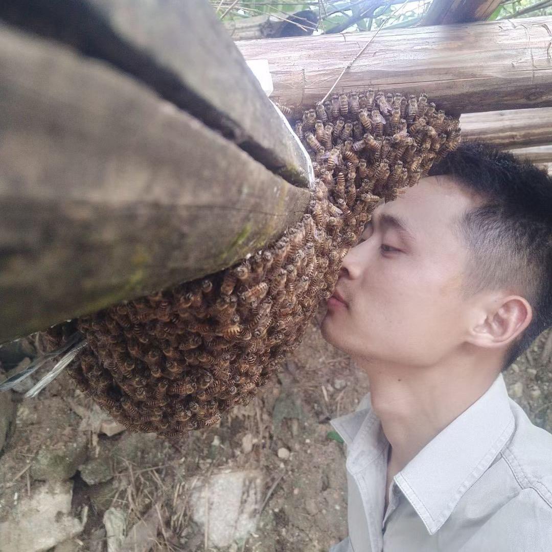 泰宁小廖