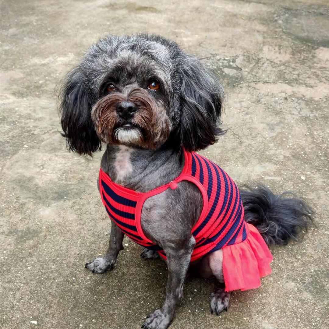 妞妞🐶好物分享