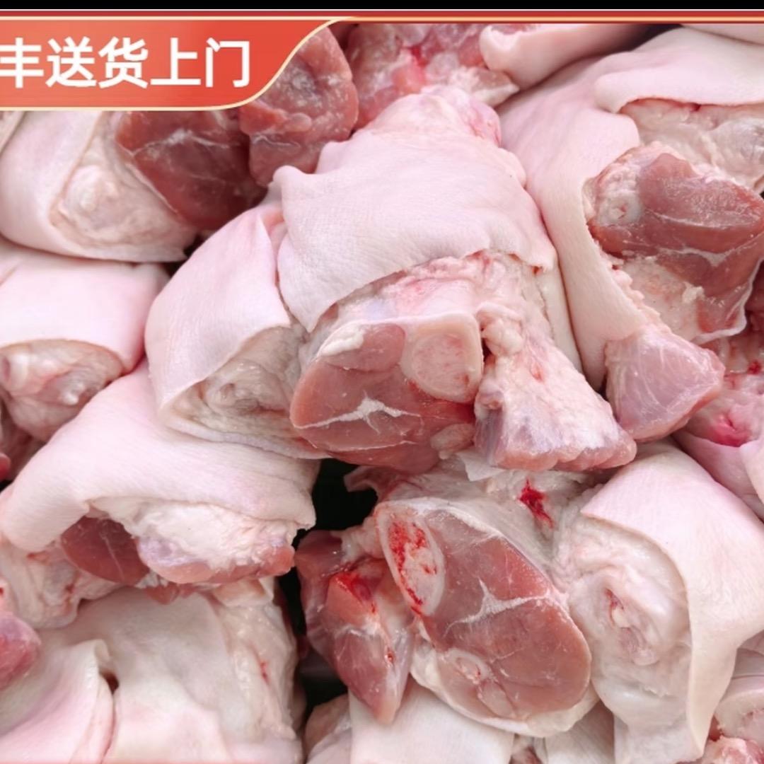 山东黑毛猪养殖基地