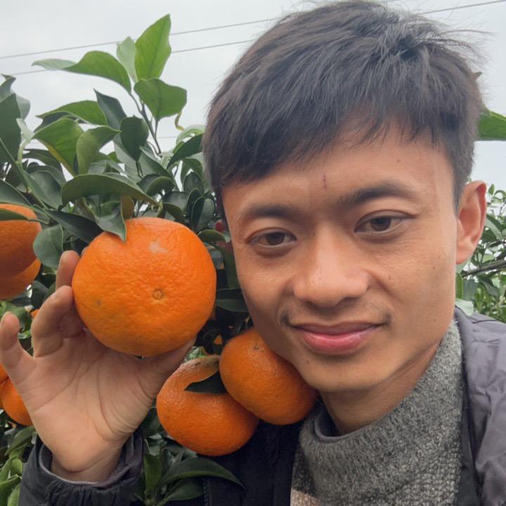 战狼果果168号