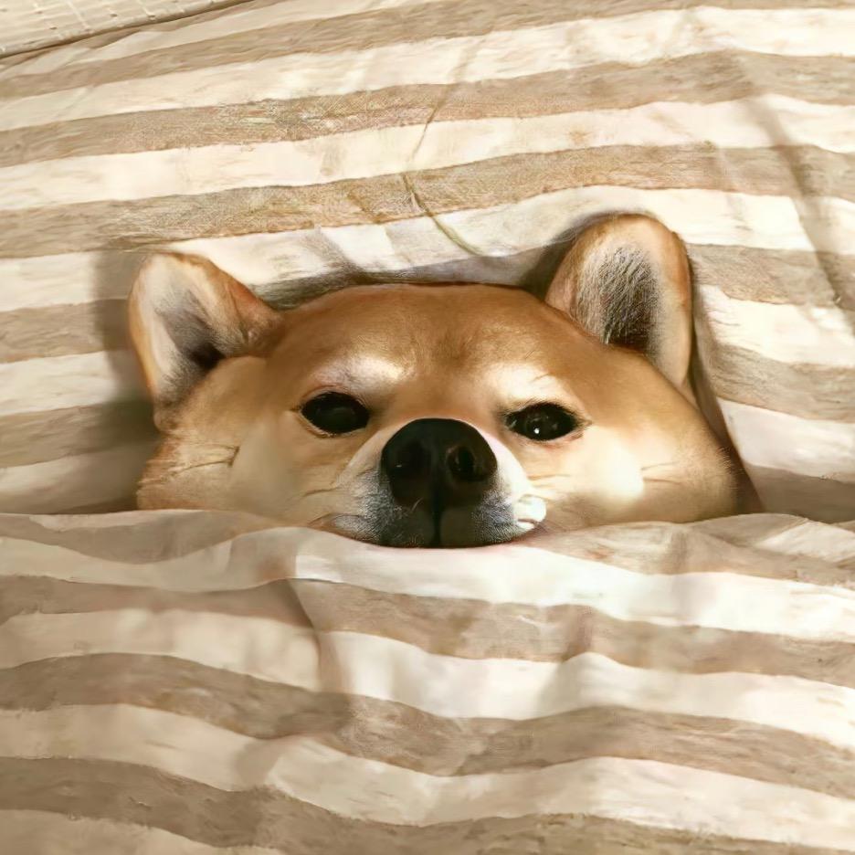聪.