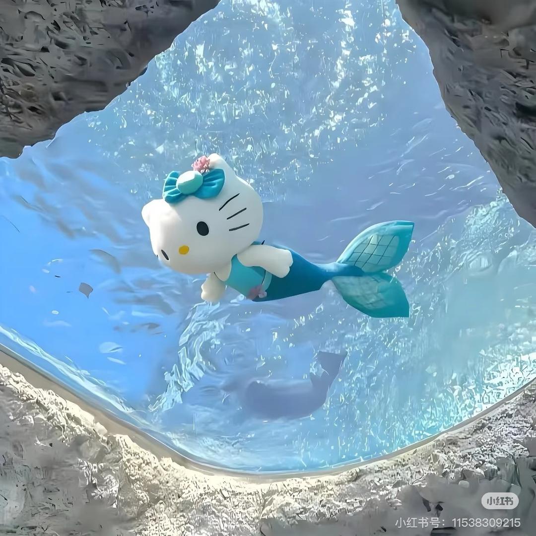 小琳爱赶海🐡