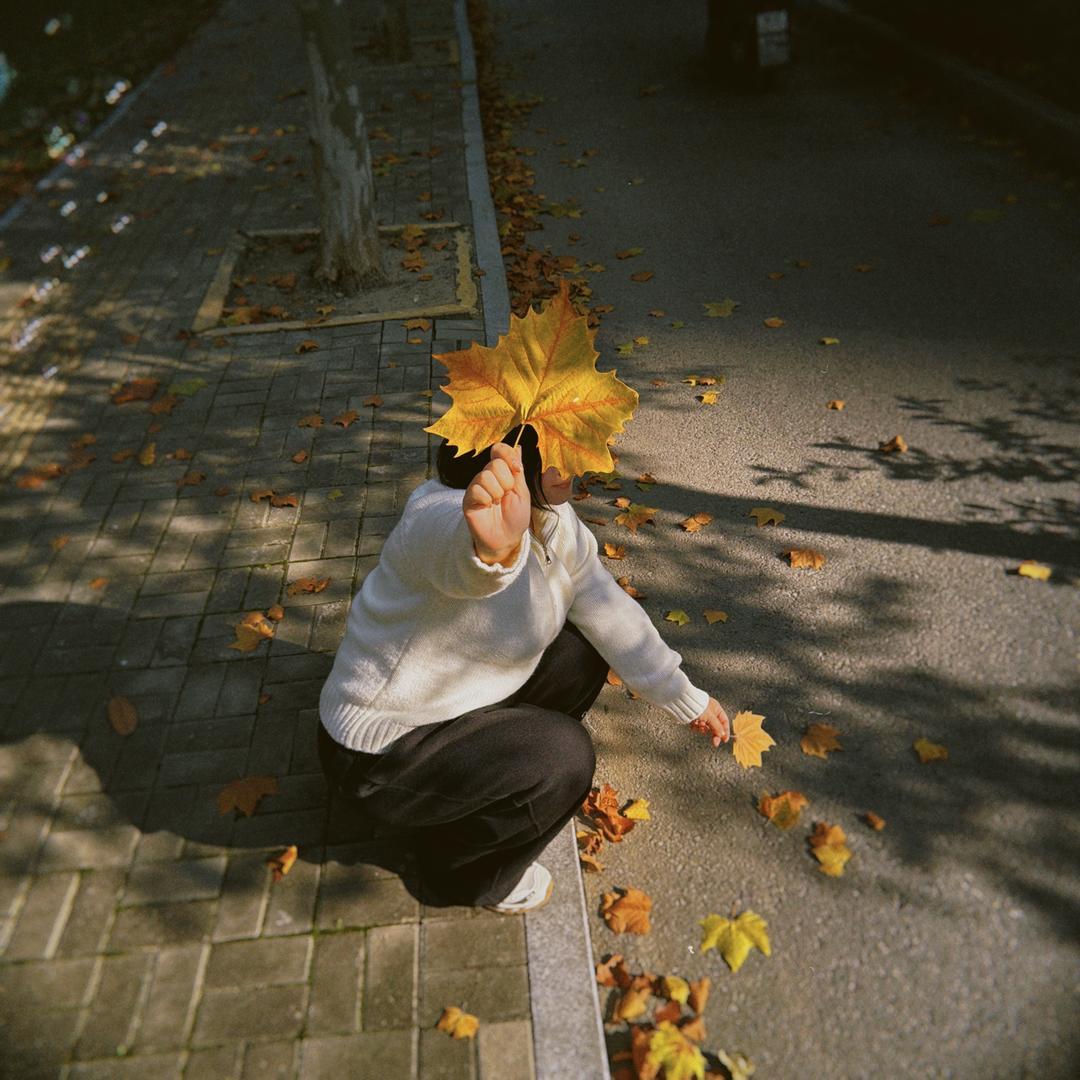 没柿哒没柿哒🍅