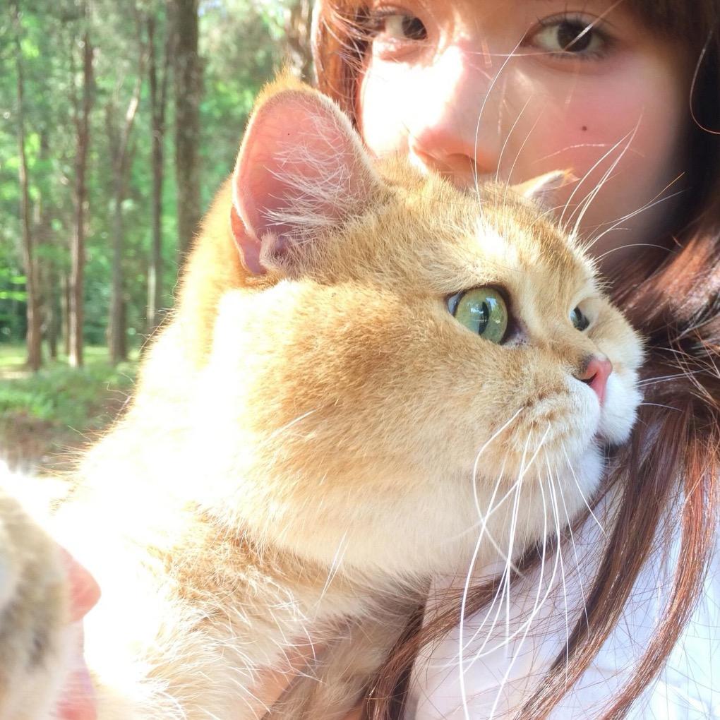 余新