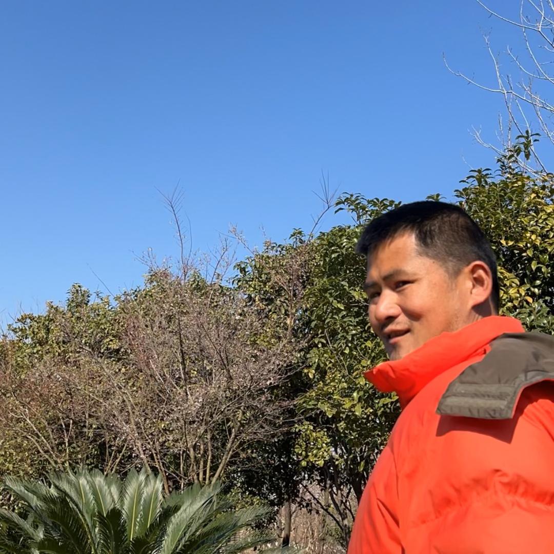 克米特