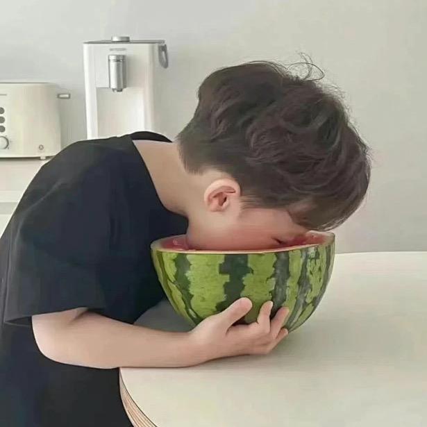 小团杉菜