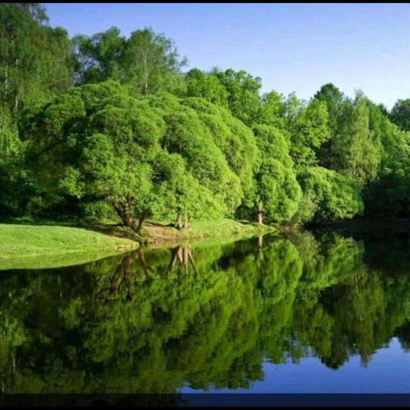 @风与糖（粉丝）