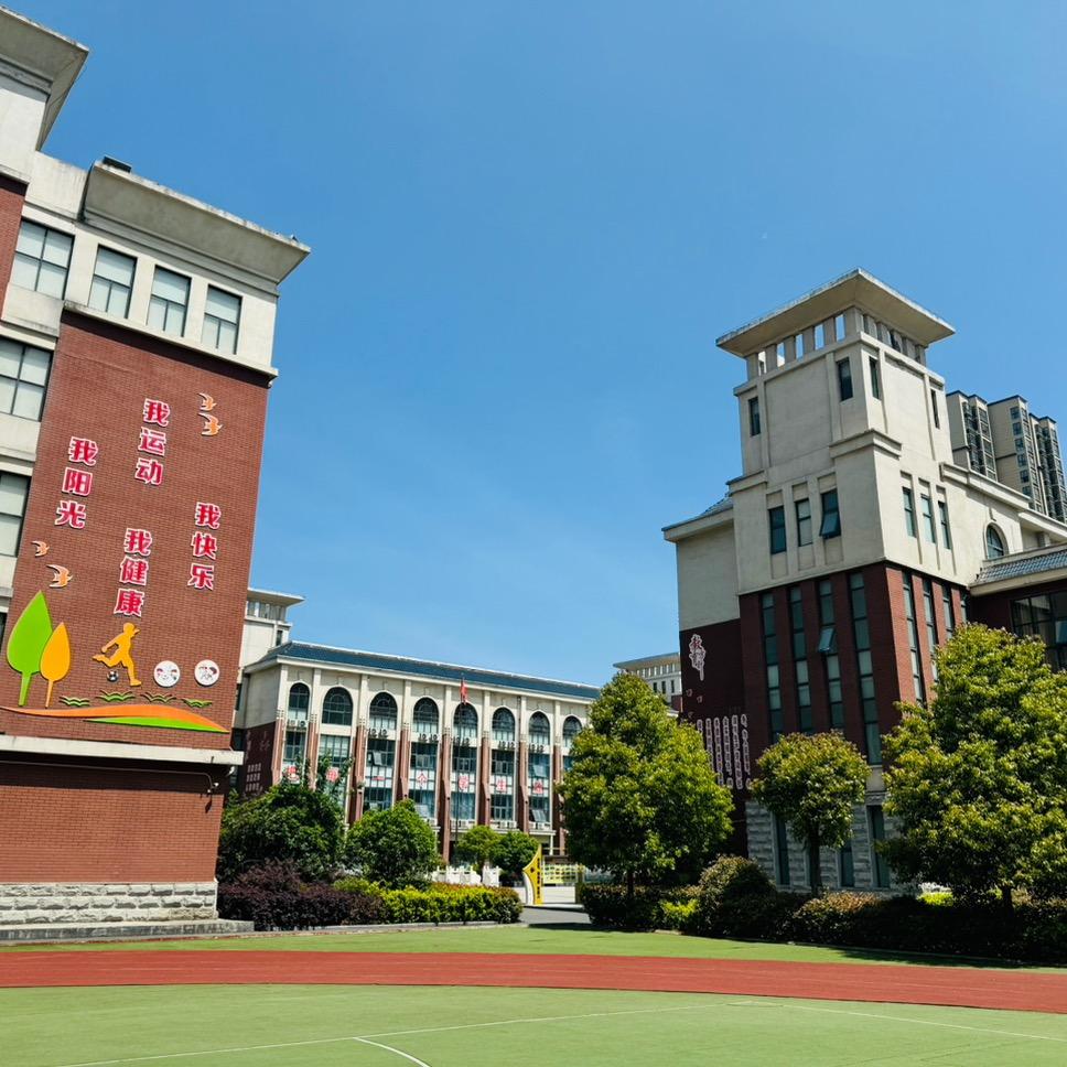 小张老师【树人入学咨询】