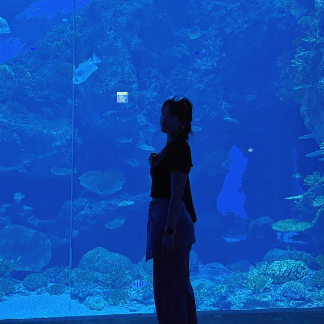 张 张小哈。🌸