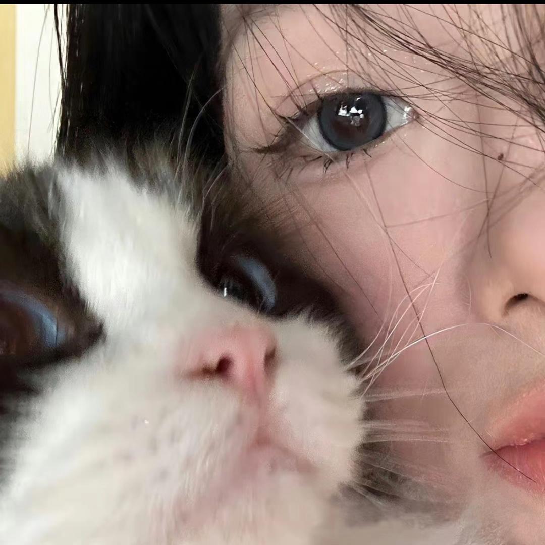 七柒