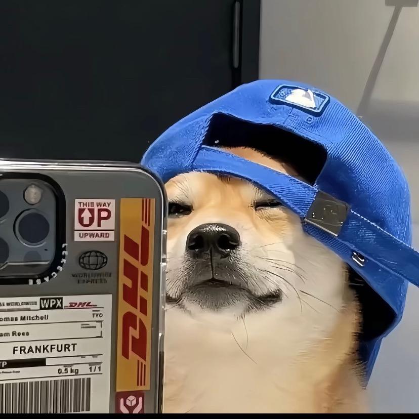 誓言🫶🏻