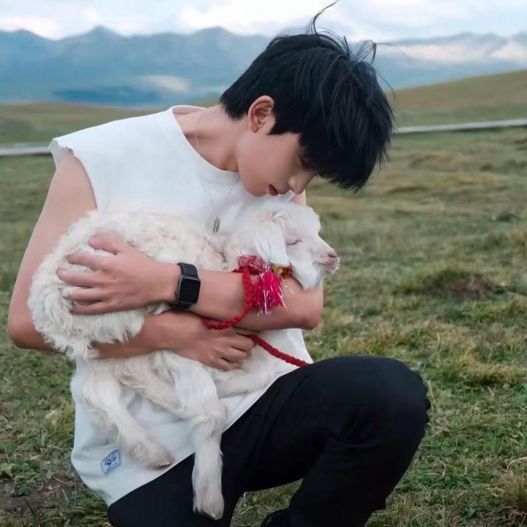 即使一切冰封🐯