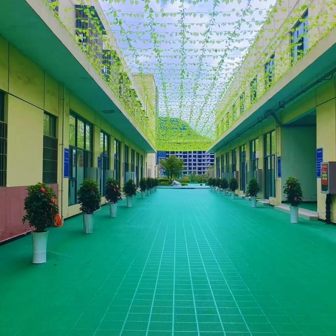 贵阳初三高三文化冲刺 杨老师