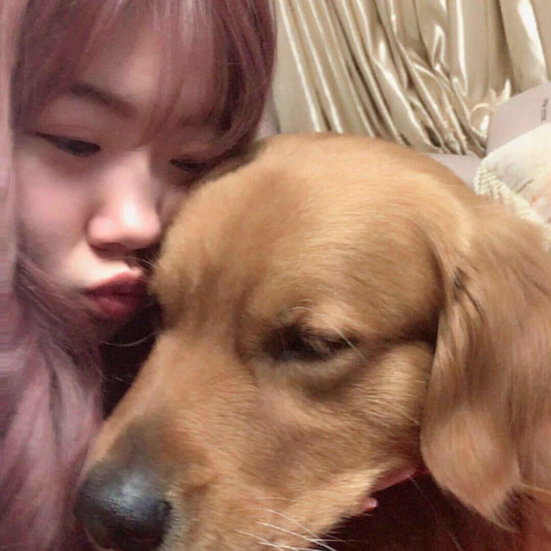 草丛小提莫。