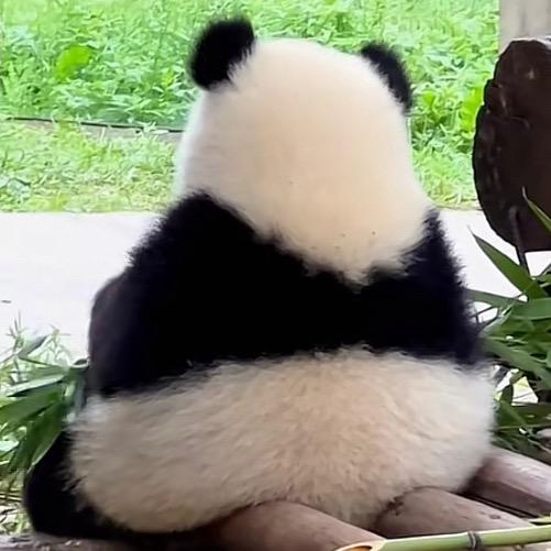 顺势严选