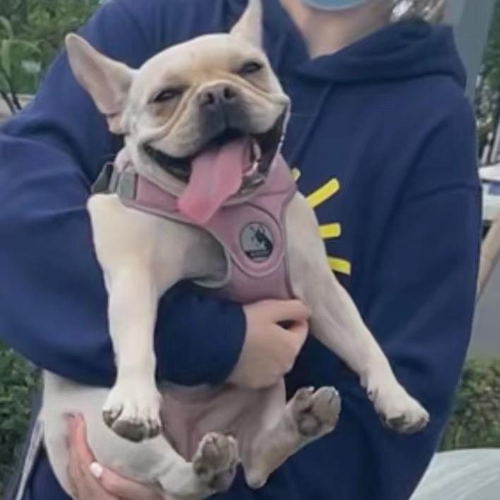 我的小宝叫八万