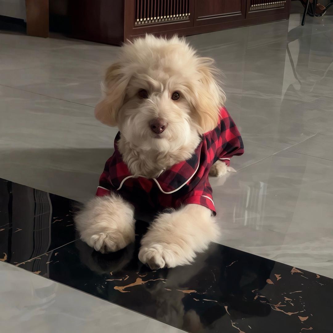 小梨涡-