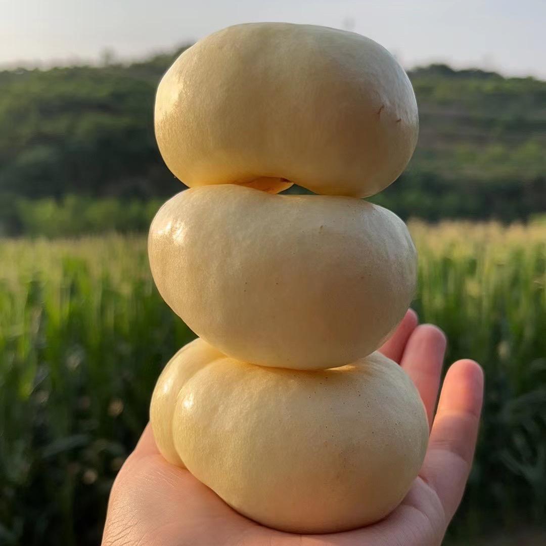 金钰