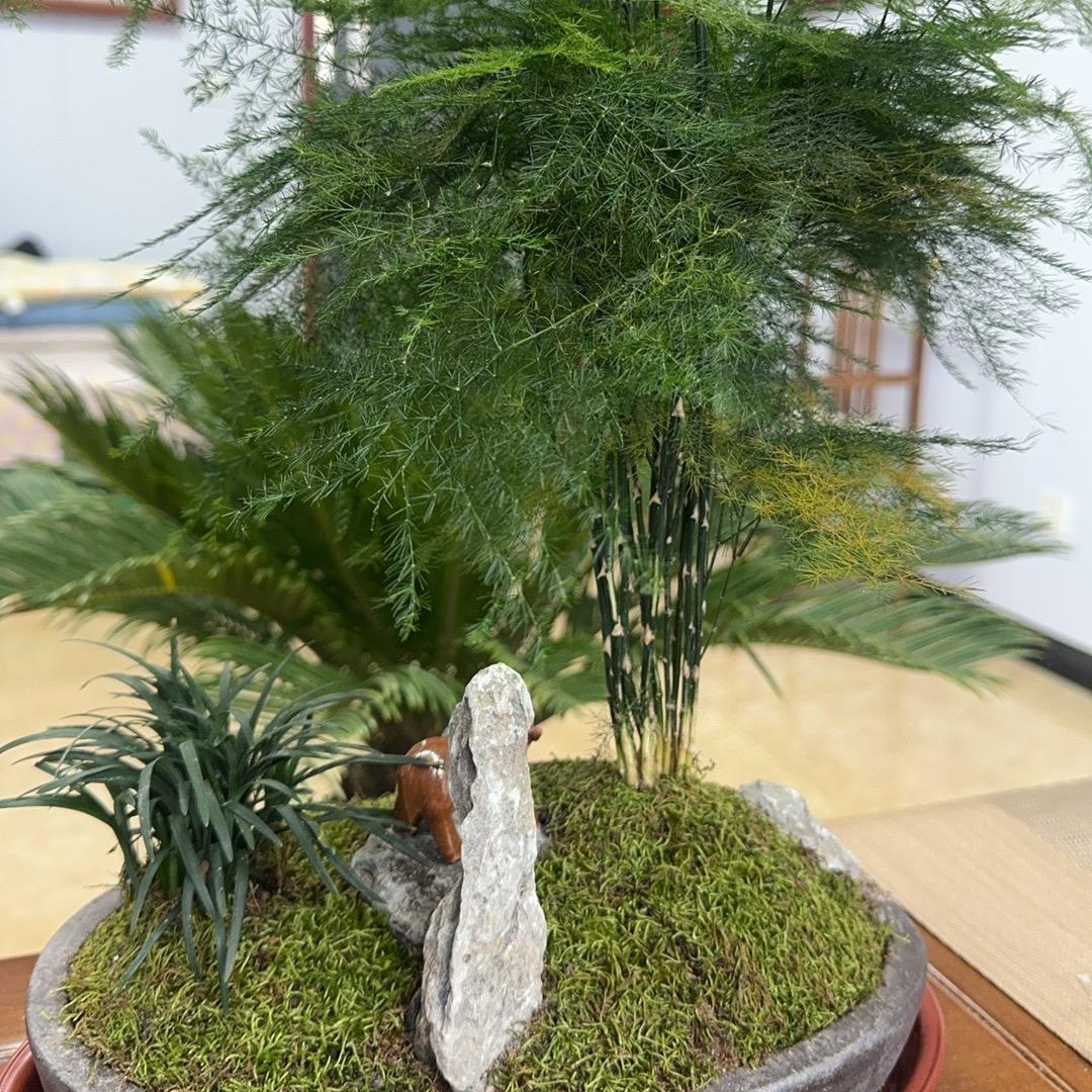 故城县福泽再生物资回收有限公司