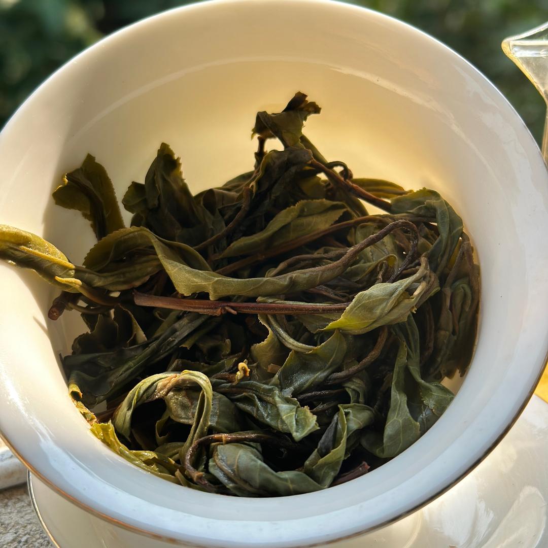 西逗粉（小众古树普洱）