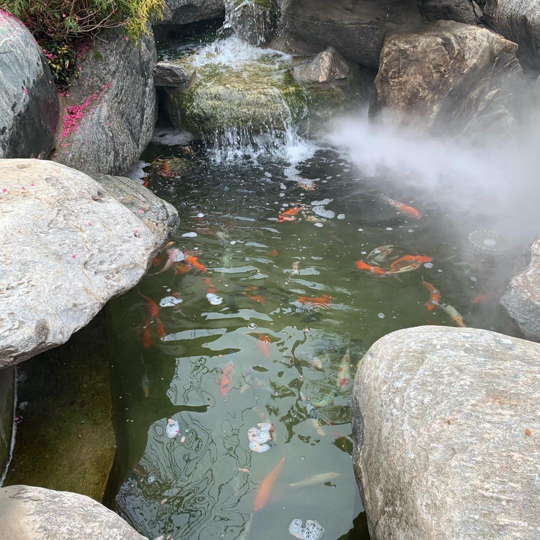 芙卡洛斯乛龐