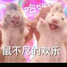 艾瑞卡耶夫斯基