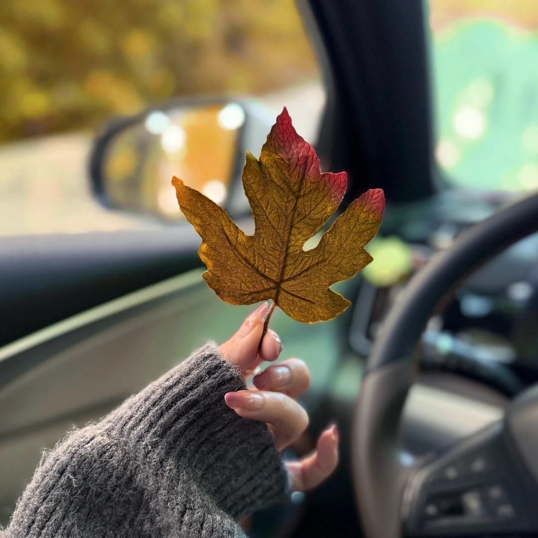 ℯ⃝ 晴🍂ℯ⃝