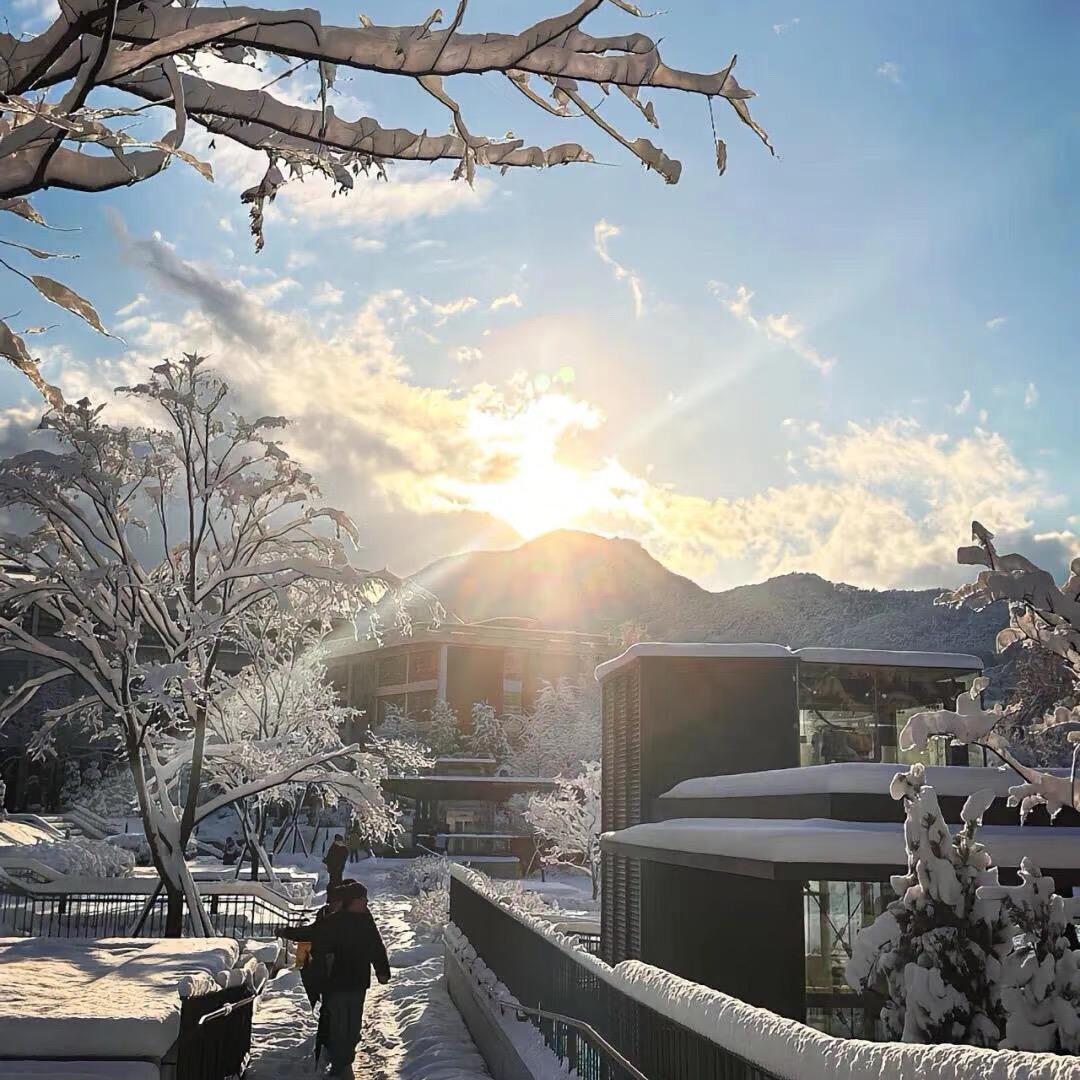 卖披萨的程小哥🤡