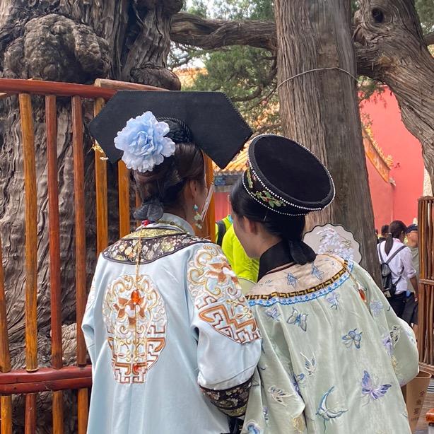 芙蓉姐姐