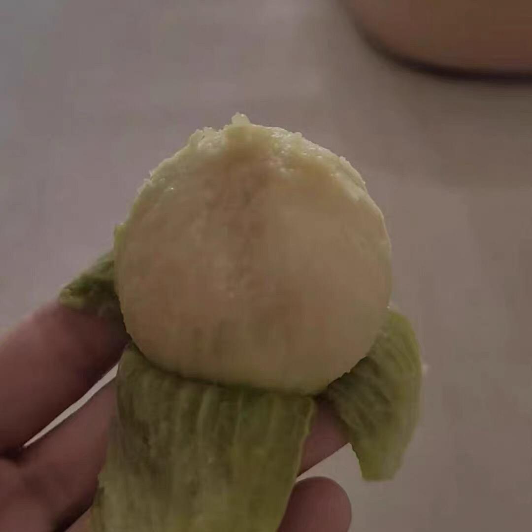 青皮无花果