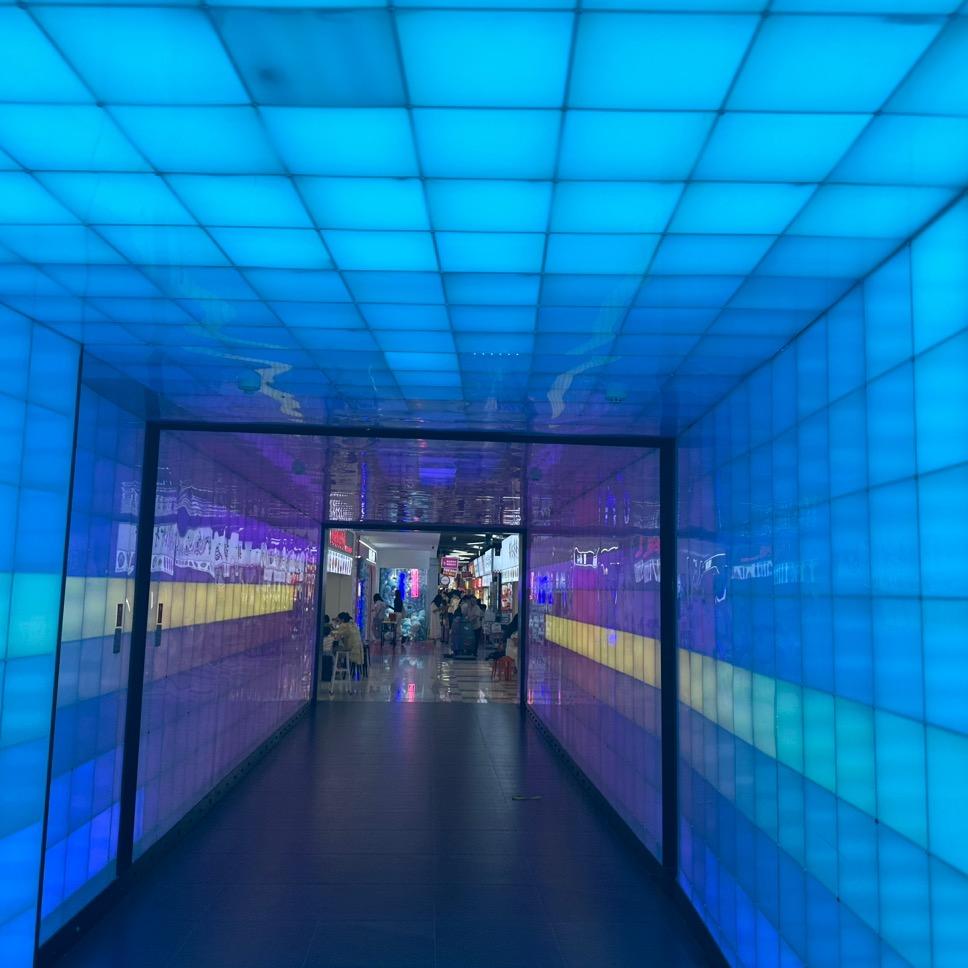 柠檬沙冰鸭