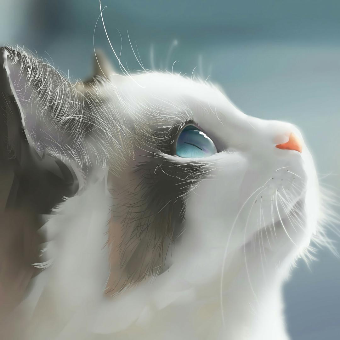 虎