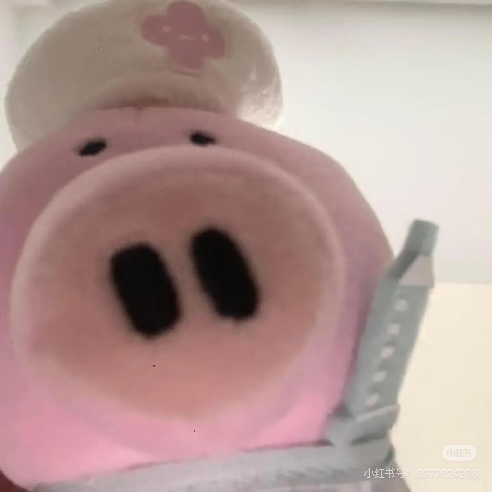 臭猪