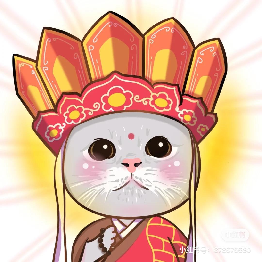 追梦的猪