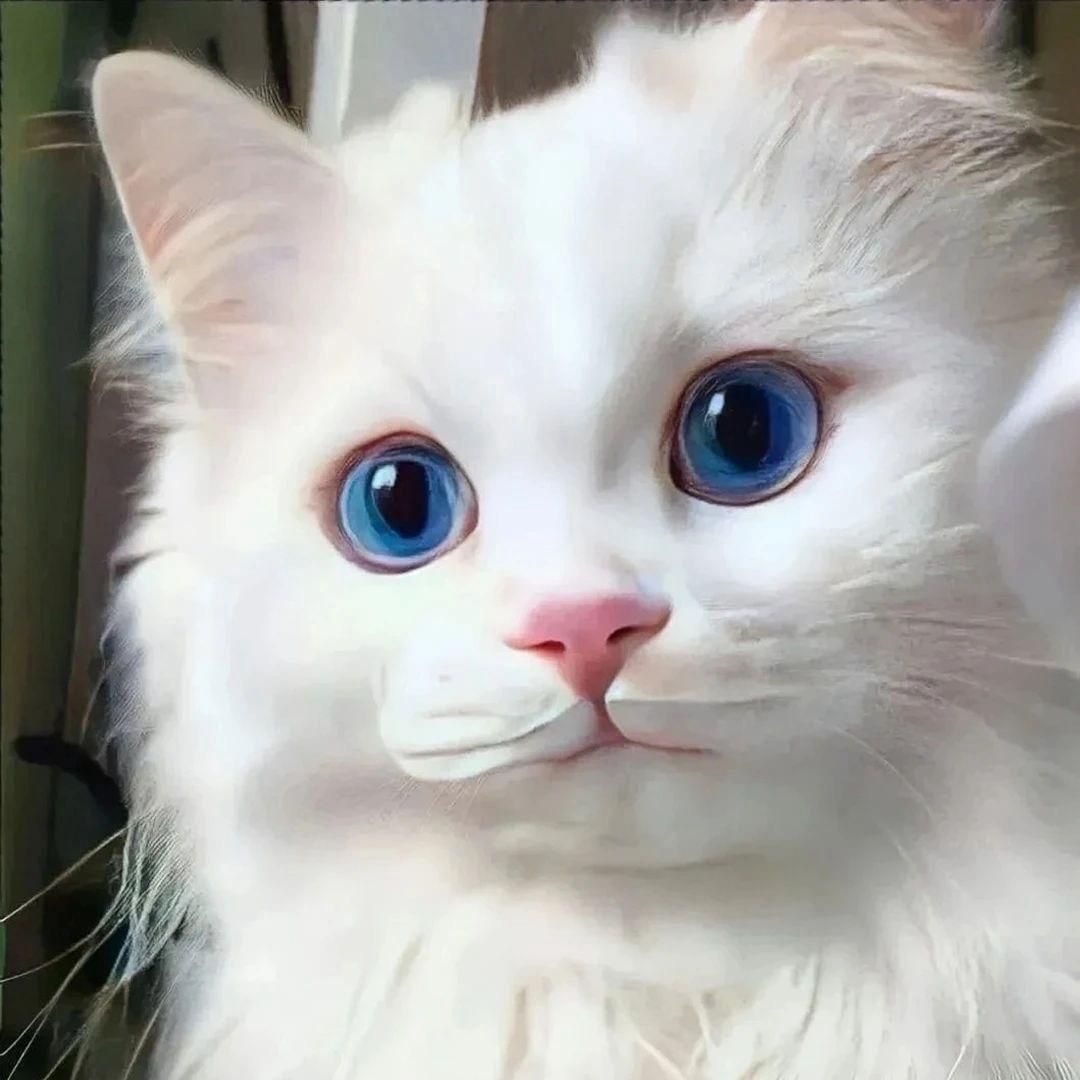 肖美美