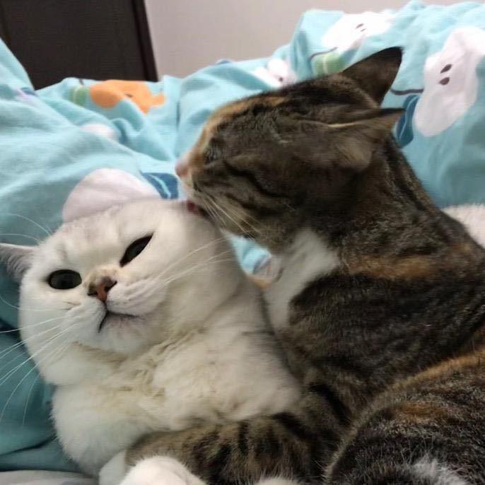 麻辣虾粉 粉虾辣麻（见十个勤天✖️1）